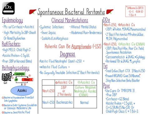 Spontaneous Bacterial Peritonitis Illness Script – The Clinical Problem Solvers