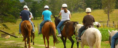 The 10 Best Horseback Riding Lessons Near Me (2024)