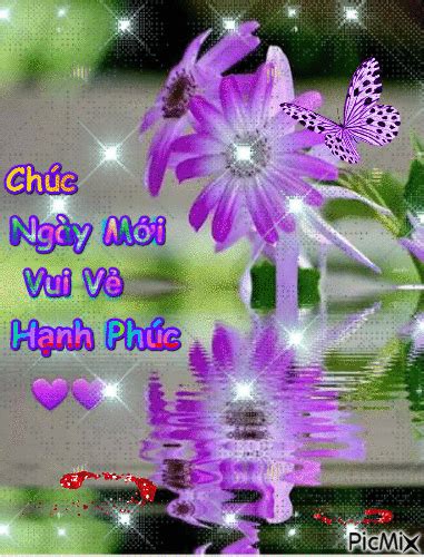 Ngày mới vui vẻ ! Good Night Flowers, Photo Software, Vote Sticker, Good Morning Animation, Cute ...