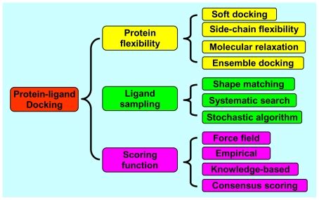 Classification of the methods for protein-ligand docking. | Download ...