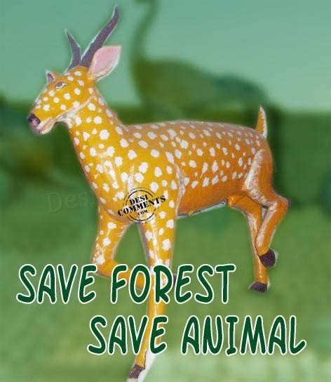 Save Forest Save Animal - Desi Comments