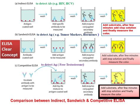 Enzyme-Linked Immunosorbent Assay (ELISA): Introduction, Princ