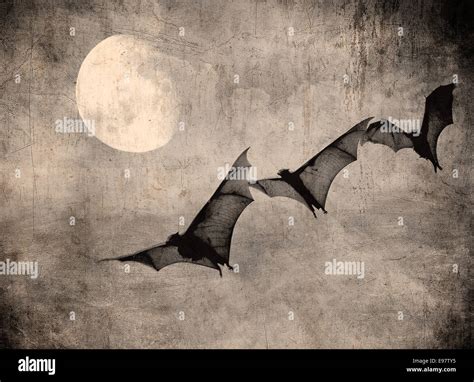 bats in the dark cloudy sky, perfect halloween background Stock Photo ...