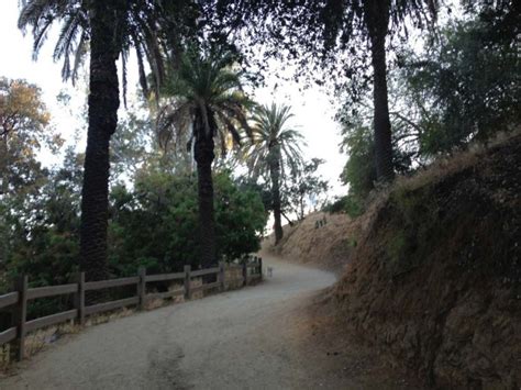 Hiking Runyon Canyon Park - SoCal Hiker