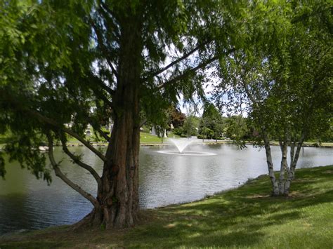 Kensico Cemetery Earns Arboretum Status - Kensico Cemetery