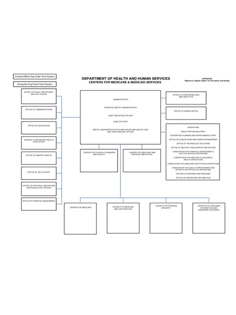 2024 CMS Organizational Chart - Fillable, Printable PDF & Forms | Handypdf