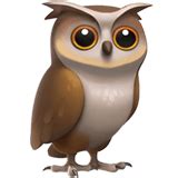 🦉 Owl Emoji Meaning with Pictures: from A to Z