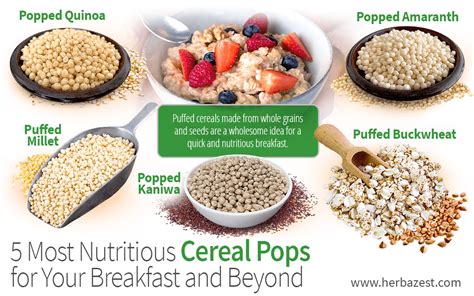 5 Most Nutritious Puffed Cereals for Your Breakfast and Beyond