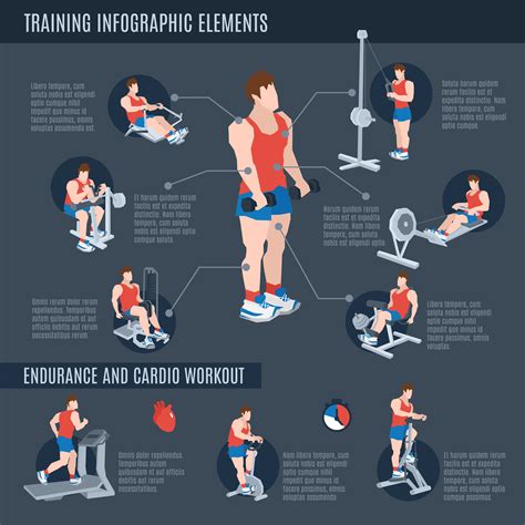 Exercise Machines Infographics 463060 Vector Art at Vecteezy