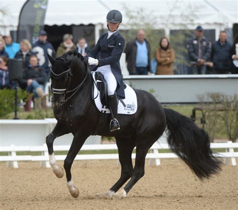 Concours de dressage international de Saumur, réussite du deuxième jour - L’institut français du ...