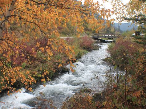 Spearfish Canyon Color Report