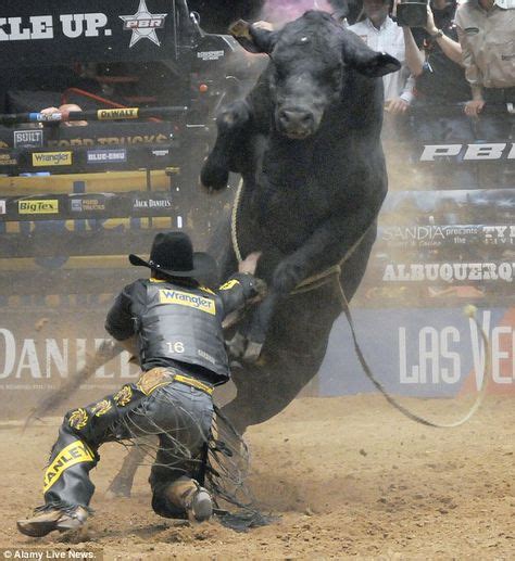 Experience the Thrill of PBR Bull Riding