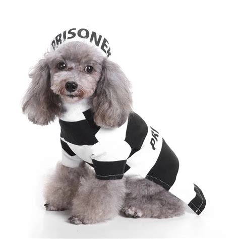 fashion cloth make your pets different, 2017 Black and white stripes CoolPet Cosplay Costume Dog ...