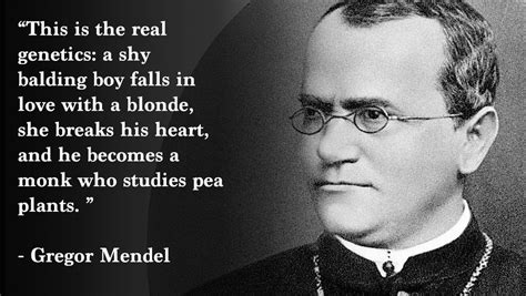 5 Gregor Mendel Quotes That Will Inspire You | Gregor mendel, Becoming a monk, Pea plant