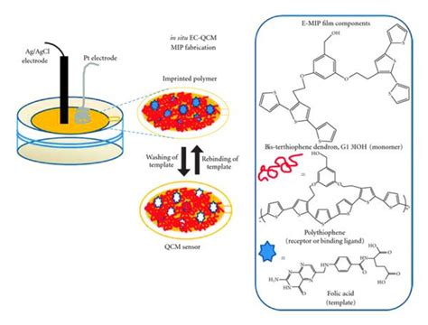 Schematic illustration of the fabrication of a polythiophene-based QCM... | Download Scientific ...