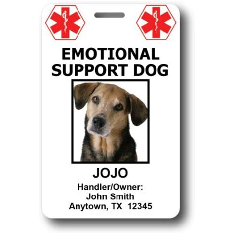 Custom Emotional Support Dog ID Cards (2 credit card sized ID cards) * Visit the image link more ...