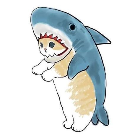 A cat-shark | Kitten drawing, Cute cat drawing, Cute animal drawings