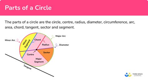 Parts Of A Circle - GCSE Maths - Steps, Examples & Worksheet