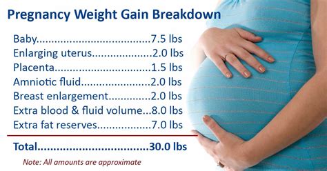 Healthy Weight Gain During Pregnancy | Ask Dr Sears