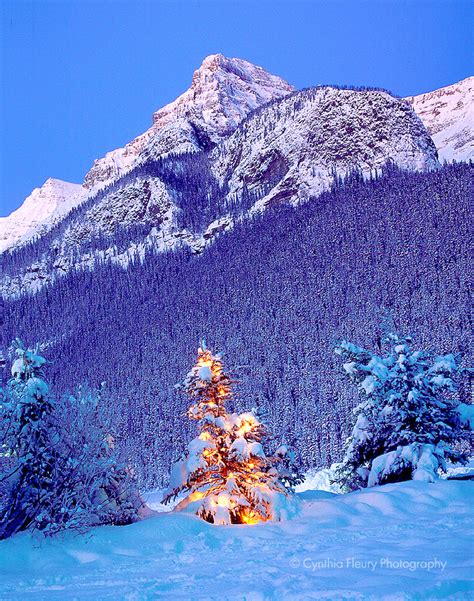 🔥 [40+] Winter in the Rockies Wallpapers | WallpaperSafari