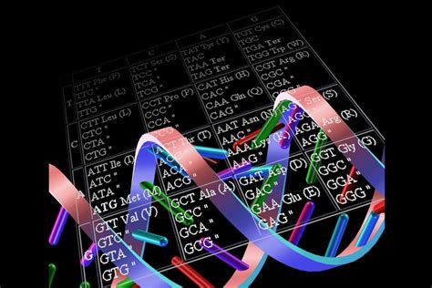 Genetic Code and RNA Codon Table