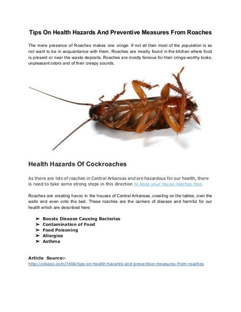 Tips On Health Hazards And Preventive Measures From Roaches