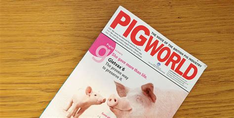 Pig World Subscription (UK residents)