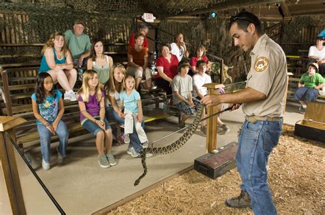 School Field Trips Billie Swamp Safari