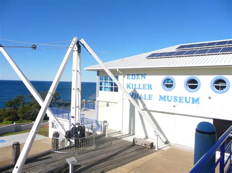 Eden Killer Whale Museum | Home of Old Tom