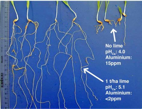 Soil Acidity - Land degradation in Australia