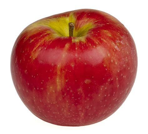 File:Honeycrisp-Apple.jpg - Wikimedia Commons