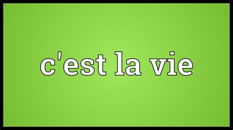 C'est la vie Meaning - YouTube