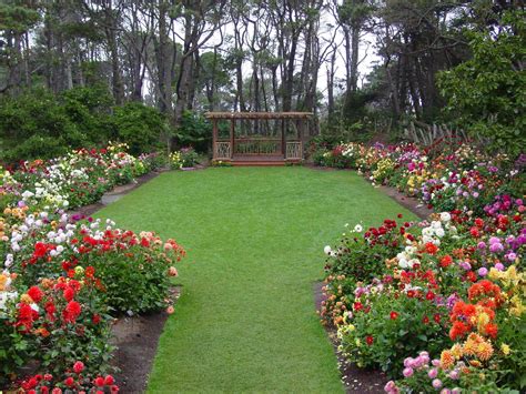 Mendocino Coast Botanical Gardens Mendocino California