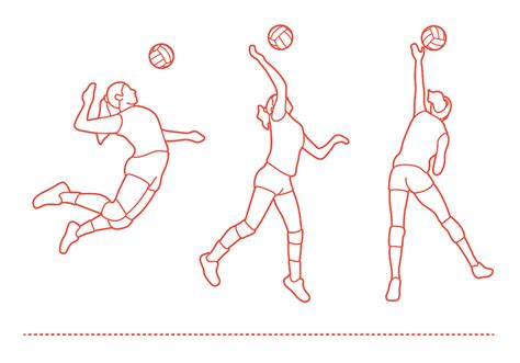 Volleyball Spike (Attack) Dimensions & Drawings | Dimensions.com