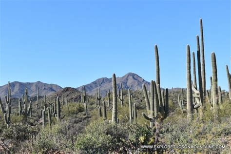 Best Hiking Trails - Tucson Mountains - Explore the Tucson Mountains