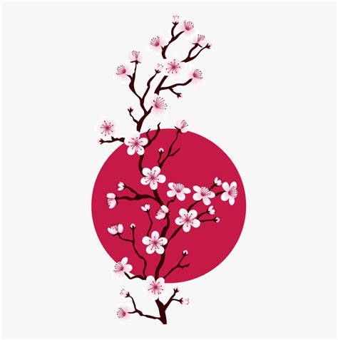 Transparent Cherry Blossom Png - Japanese Cherry Blossom Png, Png Download - kindpng