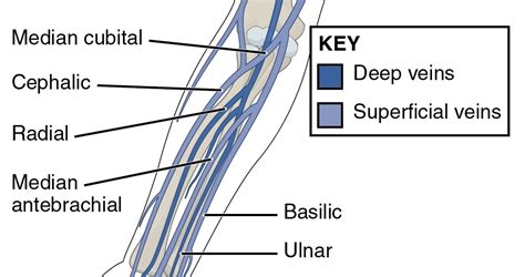 Superficial Venous Thrombosis