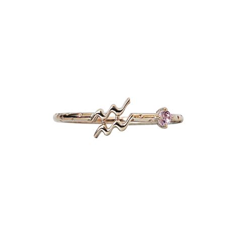 14K Aquarius Horoscope Birthstone Ring (Amethyst + Garnet) | Tippy Taste Jewelry