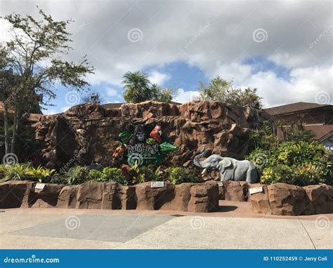 RainForest Cafe, Disney Springs, Orlando, Florida Editorial Stock Image - Image of food, open ...