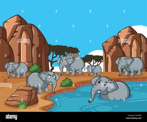 Elephant Herd Cartoon