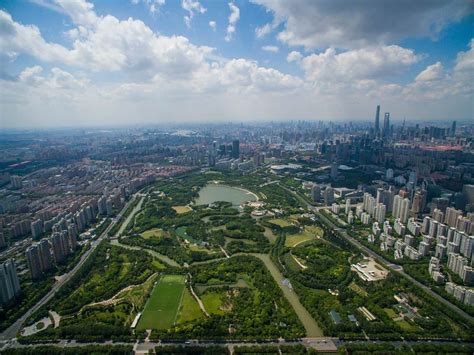 Shanghai Century Park | What to see in Shanghai Century Park | Travel to Shanghai