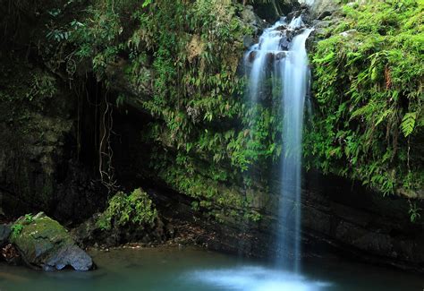 Best National Parks and Forests in the Caribbean | Royal Caribbean Blog