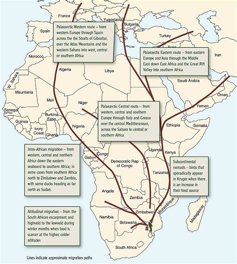 Parties to the Agreement on the Conservation of African-Eurasian Migratory Waterbirds Meet in ...