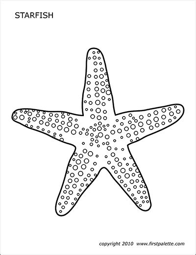 Starfish | Free Printable Templates & Coloring Pages | FirstPalette.com