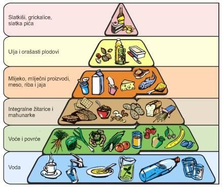 Piramida zdrave ishrane - temelj zdravlja – PITAJTE DOKTORA