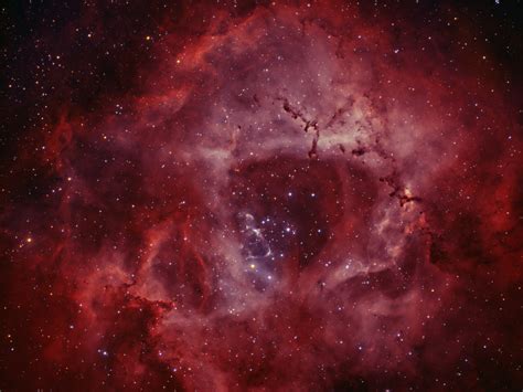 NGC2244 Rosette emission nebula and cluster in Monoceros - astrojolo