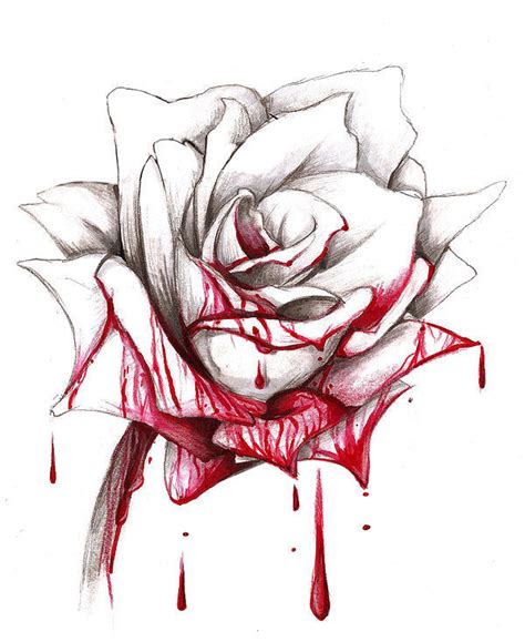 Bloddy Rose Drawing by Gabriel Baez - Fine Art America