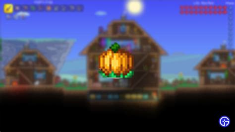 Terraria Pumpkin Guide: How To Get [Explained] - Gamer Tweak