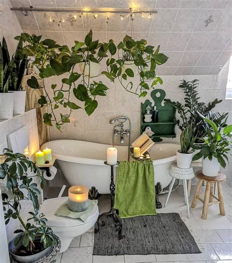 Pin de sam. ☾⋆* en misc; interior decor. | Plantas en el baño ...