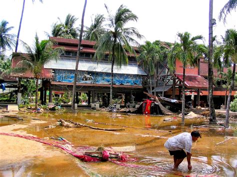 Man Digging to Recover Merchandise After Tsunami on Patong Beach in Phuket, Thailand - Encircle ...